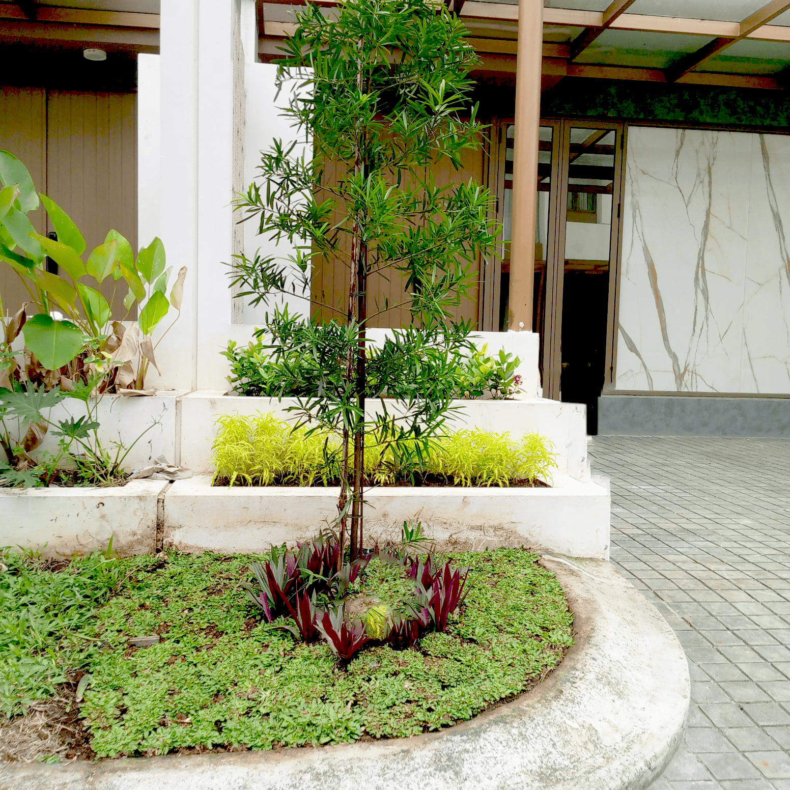 desain taman