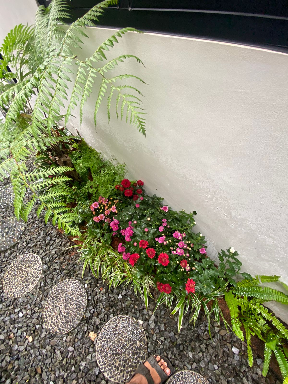 desain taman