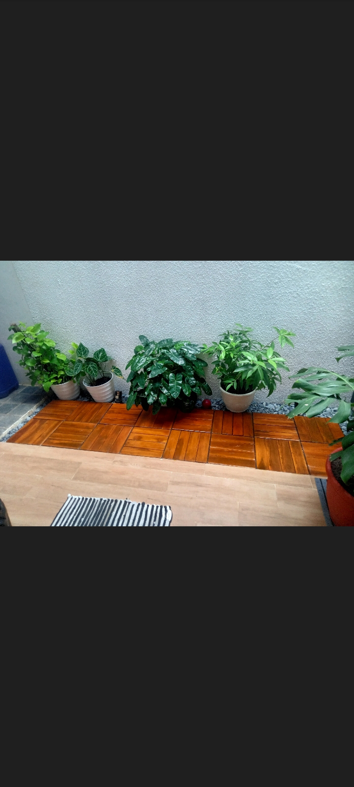 desain taman