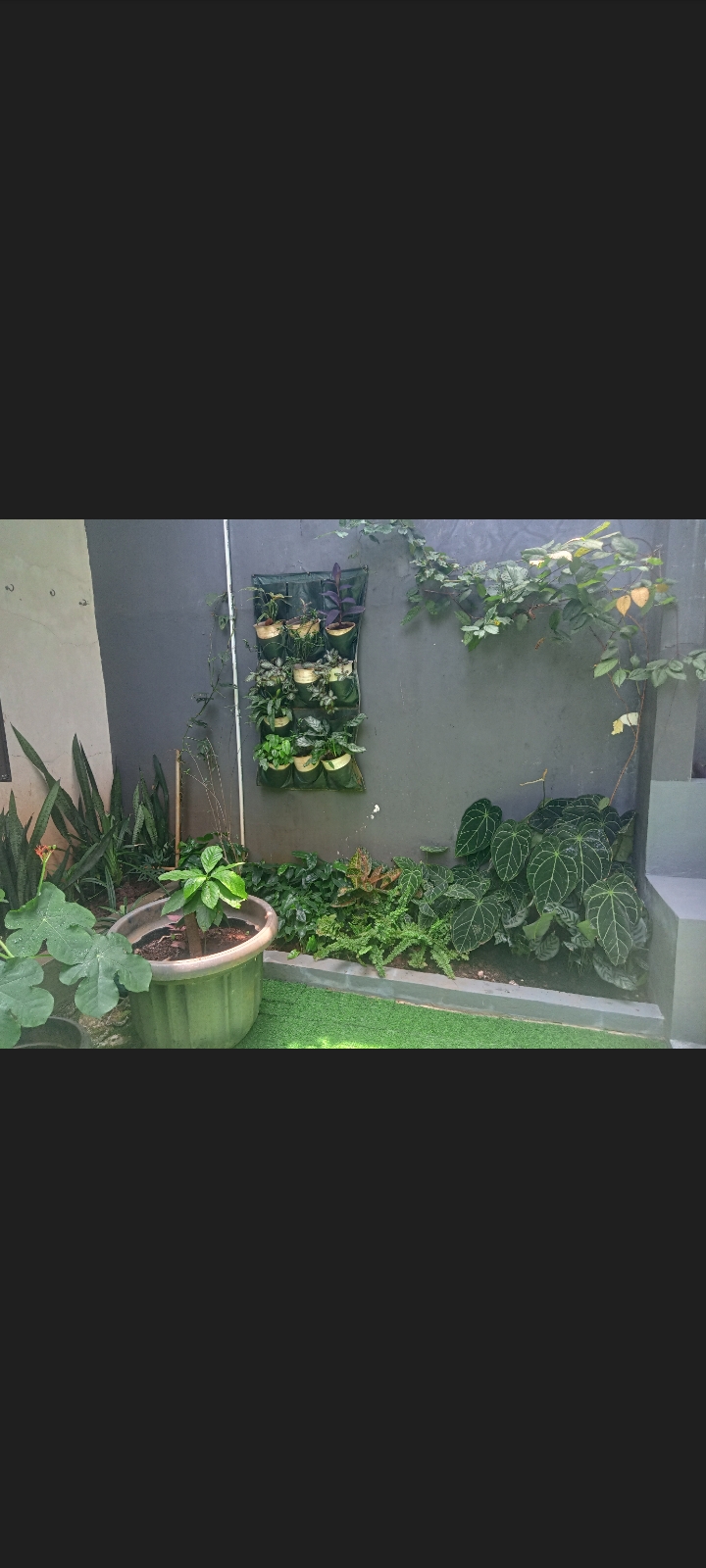 desain taman