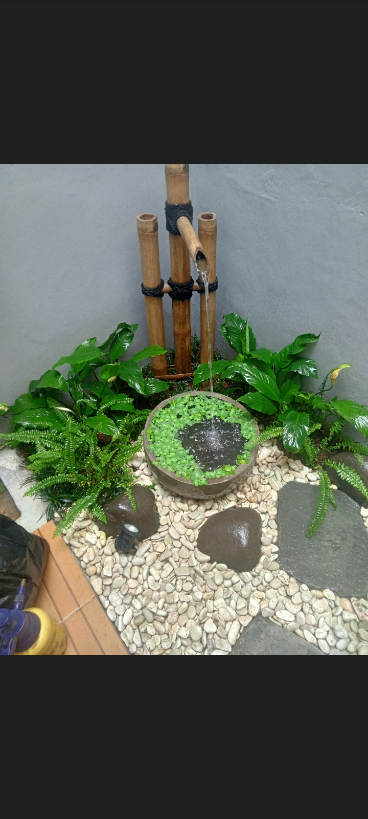 desain taman