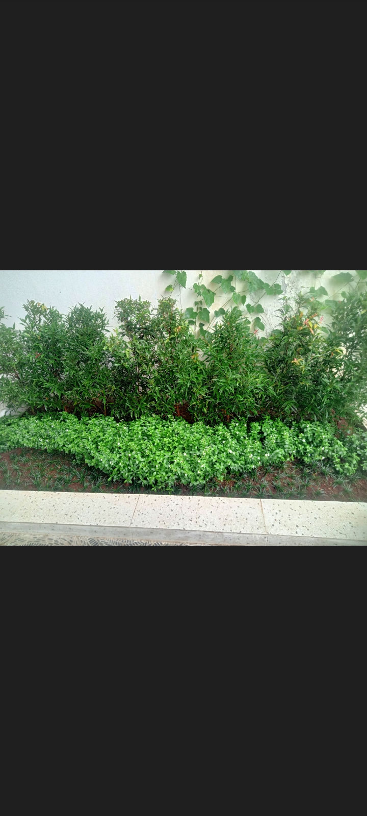 desain taman