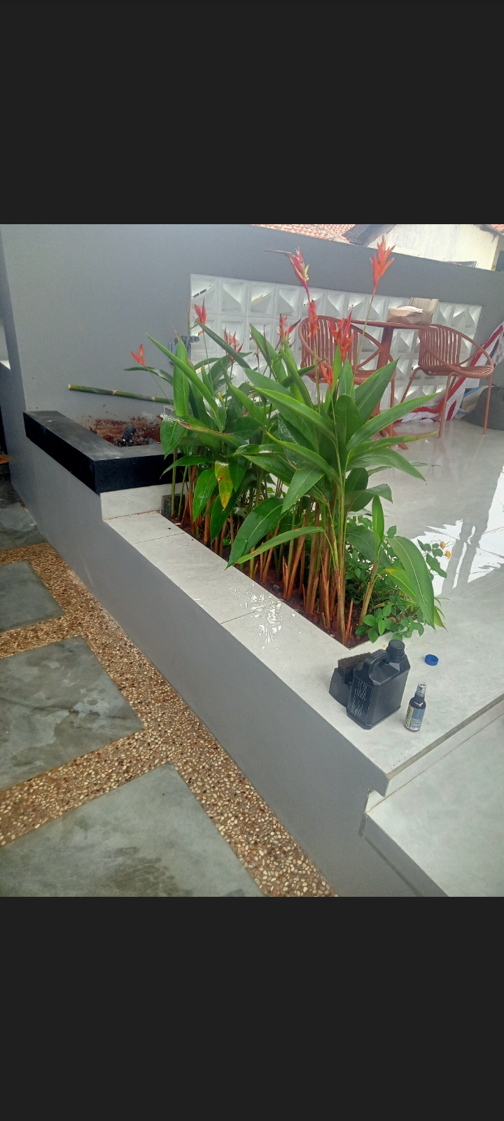 desain taman