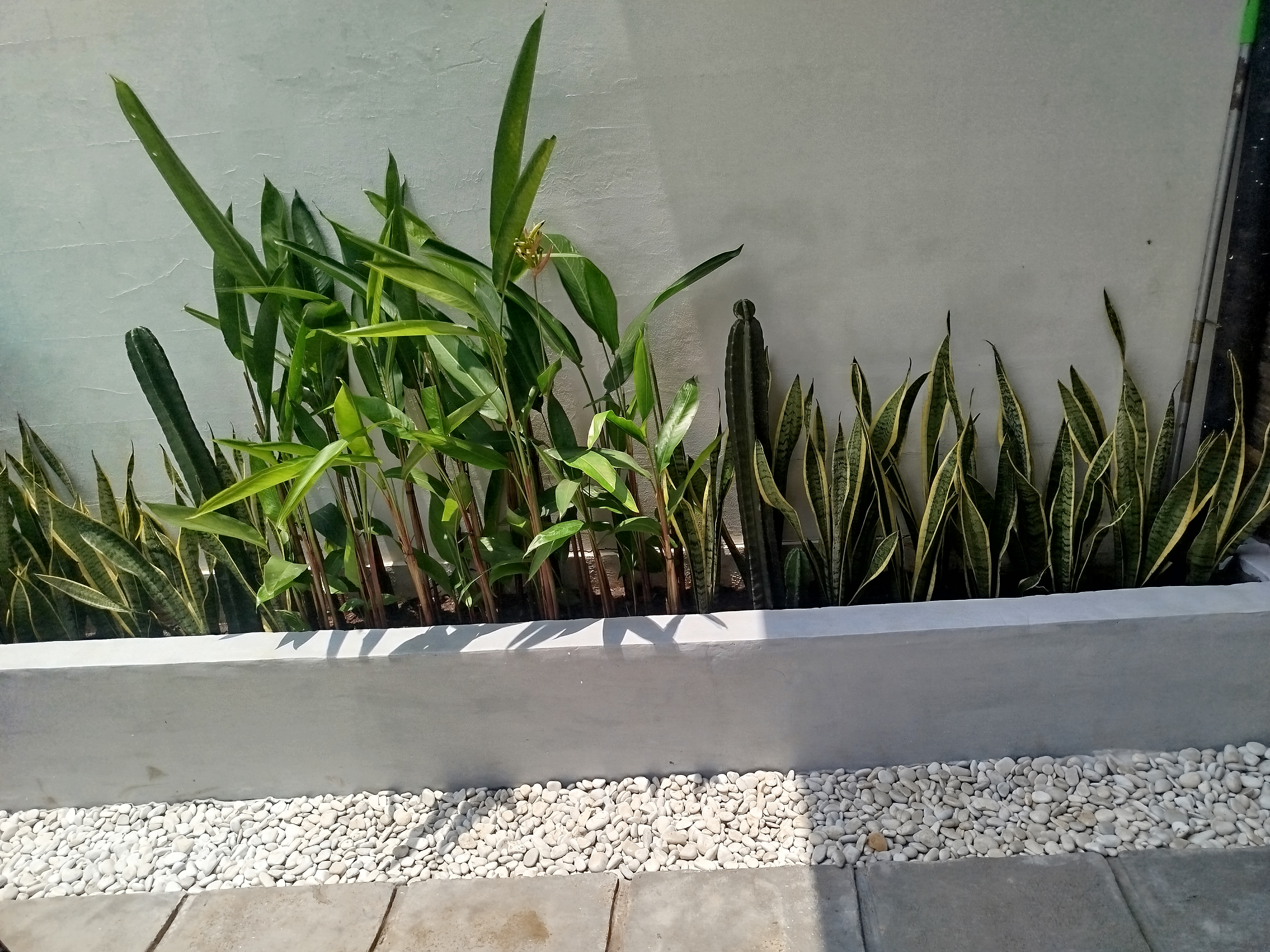 desain taman