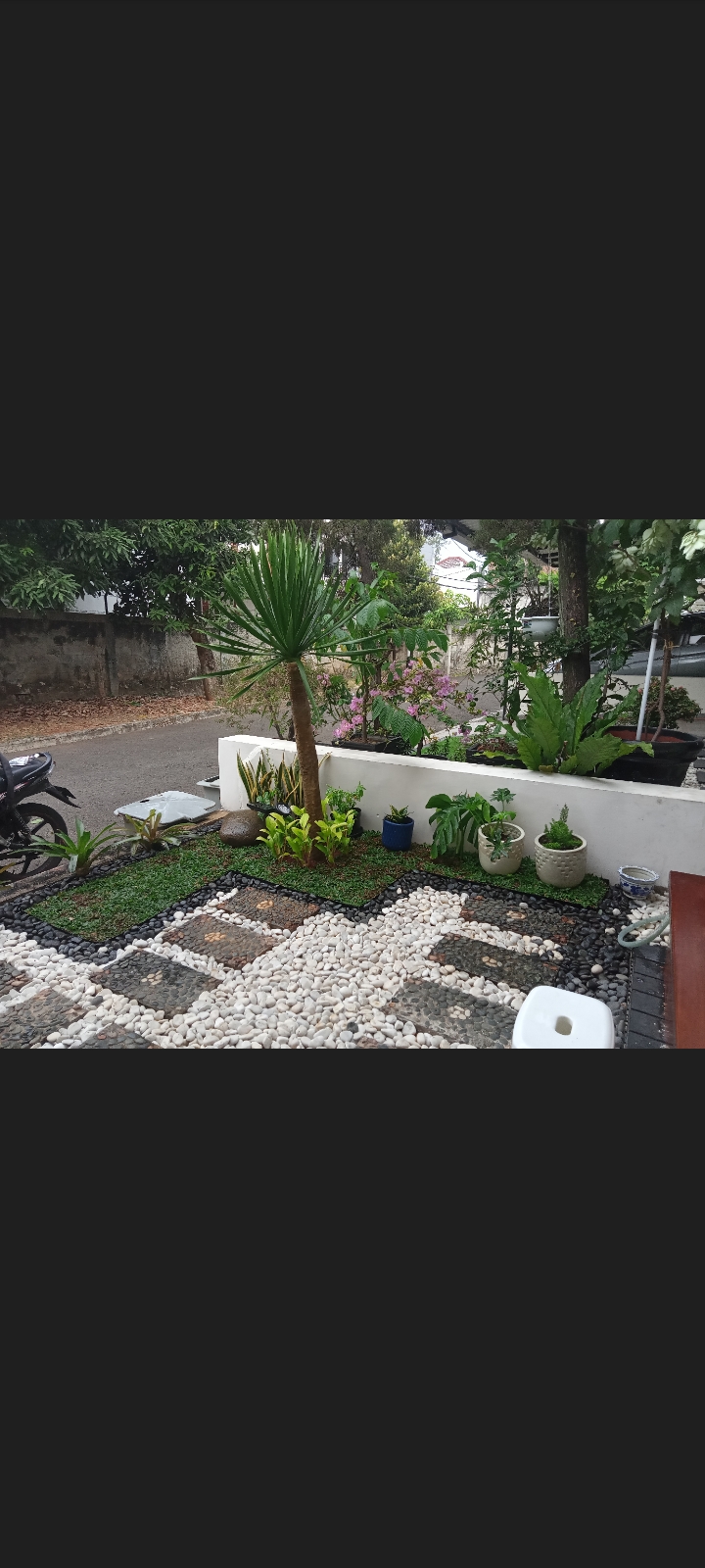 desain taman